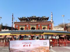 -塔尔寺-菩提树