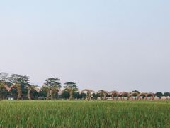 -迪茵湖田家舍生态农场