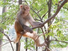 -黔灵山公园-南门售票处