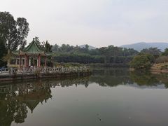 -大屏嶂森林公园