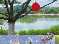 -羊山湖公园