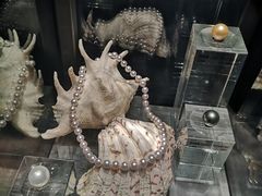 -中国地质博物馆