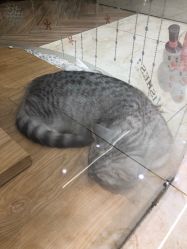 -手牵手美甲