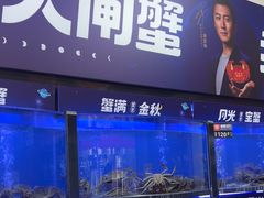-蟹状元大闸蟹·年货·粽子(成都成华店)