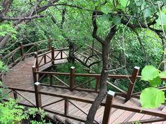 -大岭沟猕猴桃谷风景区
