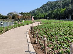 -顺峰山公园