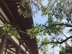 -西安青龙寺遗址景区