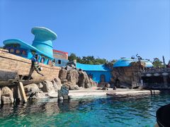 -大连老虎滩海洋公园