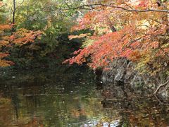-本溪老边沟风景区