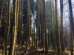 -山王坪喀斯特国家生态公园