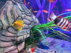 -沈阳海洋探索中心