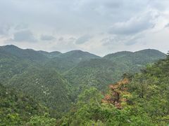 -四明山国家森林公园