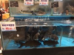 -伊藤洋华堂(温江店)