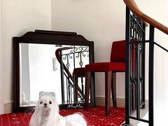 -纳吉亚猫专科动物诊疗中心(蒋宅口分院)