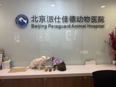 -北京派仕佳德动物医院·超导核磁·CT·神经科·骨科·内外科·急重症管理中心