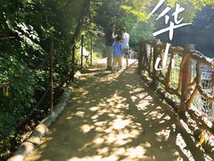 -少华山国家森林公园