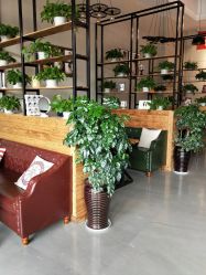 -江阴偶来路儿童摄影(江阴市新体育中心体育场店)