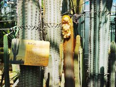 -国家植物园南园