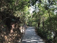 -羚羊峡古栈道森林公园