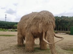 -嘉北郊野公园