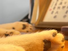 -映画咖啡