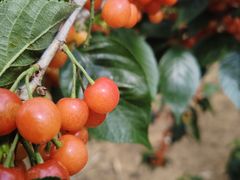 -珠源印象·影院足道·按摩SPA