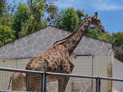 -泉州海丝野生动物世界
