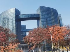 -城市阳台