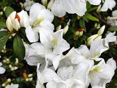 -晓港公园