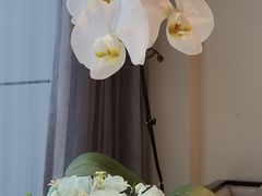 -芳华茶餐厅