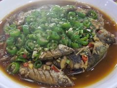 -全乐鱼馆·淳牌有机鱼直营店