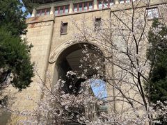 -武汉大学-樱园
