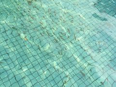 -杭州第一世界大酒店·云曼温泉