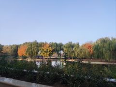 -泰丰公园