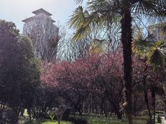 -木塔寺遗址生态公园