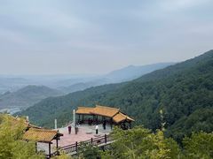 -铁山坪森林公园