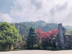 -大围山国家森林公园