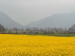 -途中饭店(开化店)