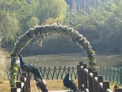-无锡动物园·太湖欢乐园