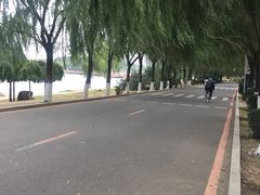 -丁香湖公园