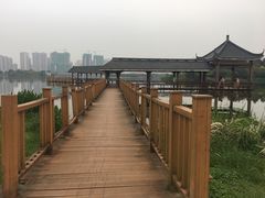 -飞来湖湿地公园