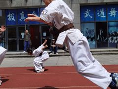 -极真空手道修远道场