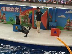 -成都浩海立方海洋公园