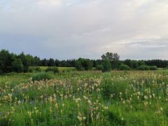 -塞罕坝国家级自然保护区