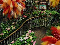 -正佳雨林生态植物园