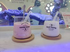 -喵园·猫主题咖啡厅·撸猫·猫咖(国贸店)