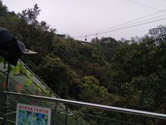 -南丹山森林王国