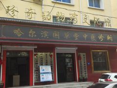 -哈尔滨道外花鸟鱼市场