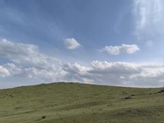 -敕勒川草原