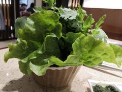 -313羊庄铁锅烀羊肉(望京店)